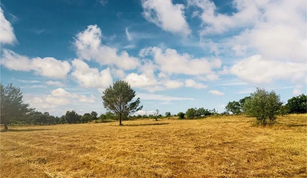 vente Terrain - 3290 m² Villeneuve-Minervois (11160)