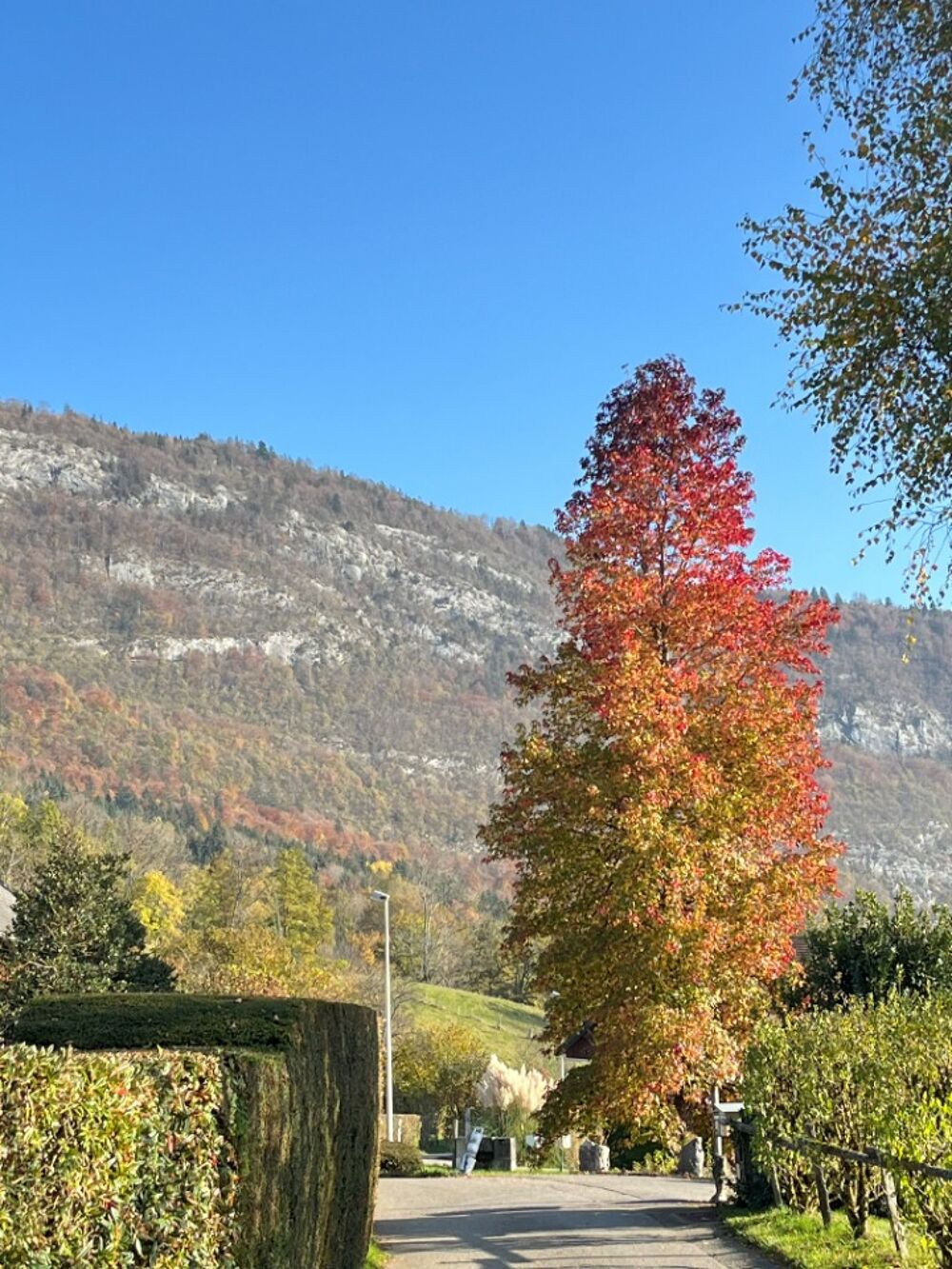 vente Terrain - 776 m² Nâves-Parmelan (74370)