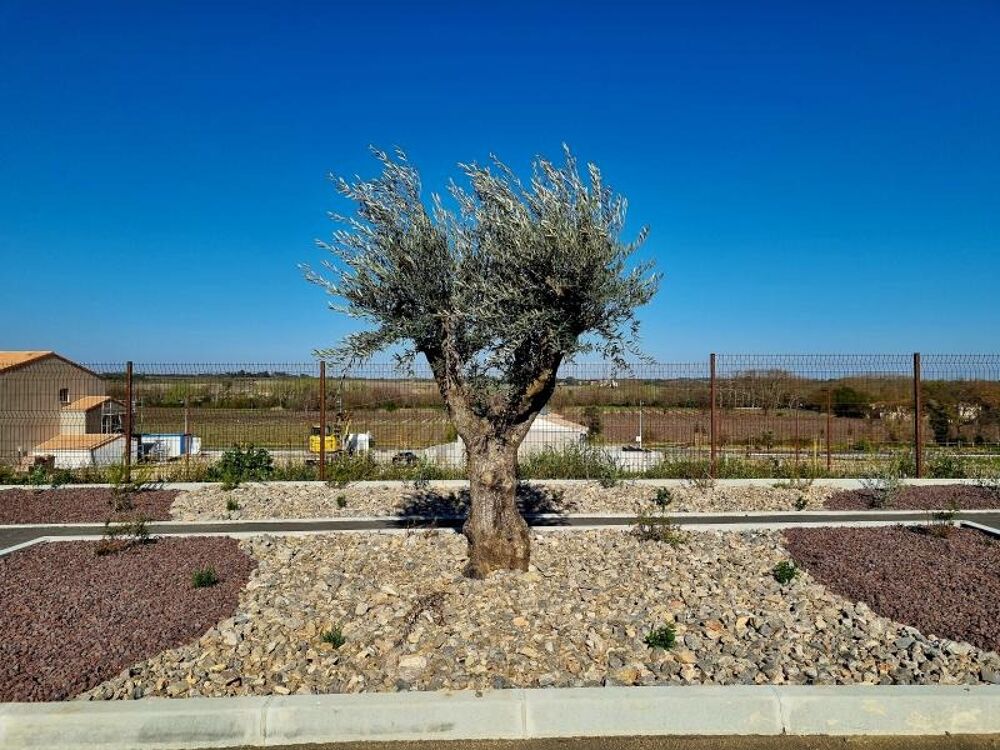 vente Terrain - 352 m² Servian (34290)
