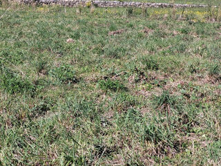  Terrain � vendre 635 m�