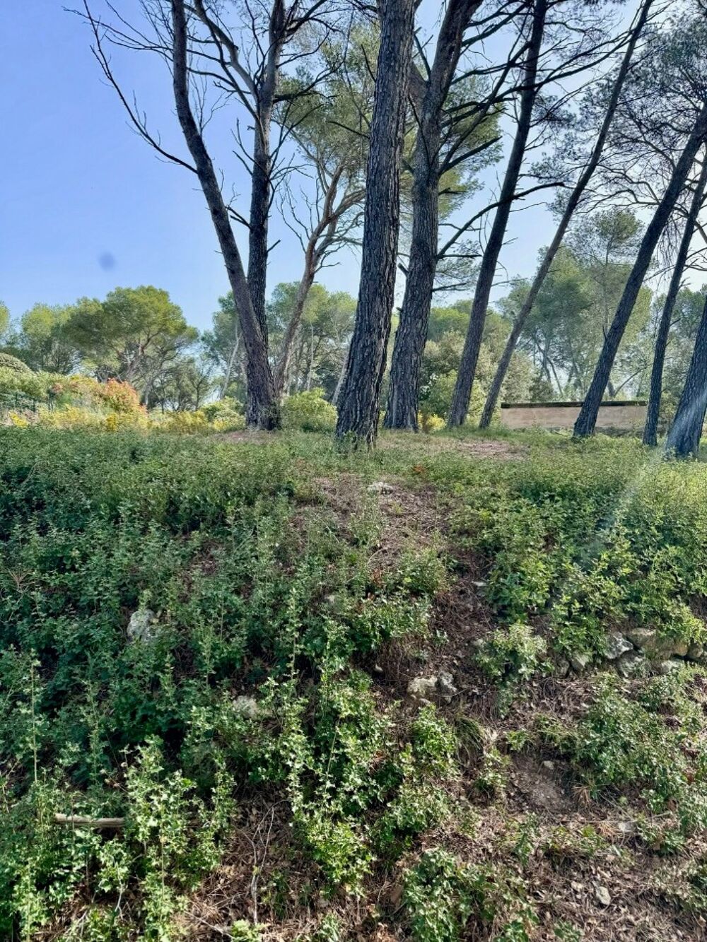 vente Terrain - 1445 m² Ventabren (13122)