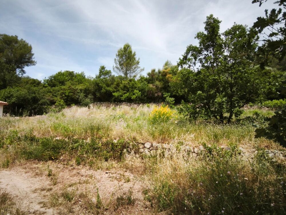 vente Terrain - 1017 m² Belgentier (83210)