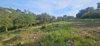  Terrain � vendre 7300 m�