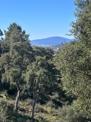  Terrain à vendre 3110 m²