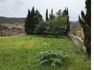  Maison 4 pi�ces 85 m� Quintillan