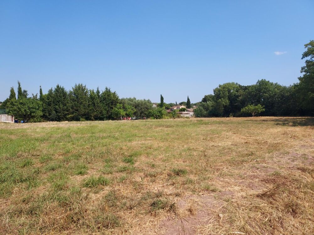 vente Terrain - 610 m² Puget-sur-Argens (83480)