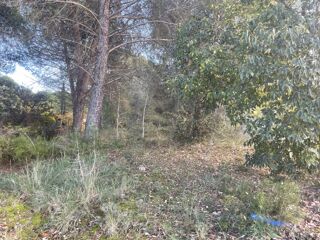  Terrain � vendre 901 m�