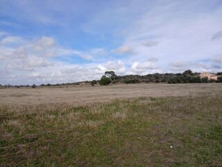  Terrain � vendre 565 m�