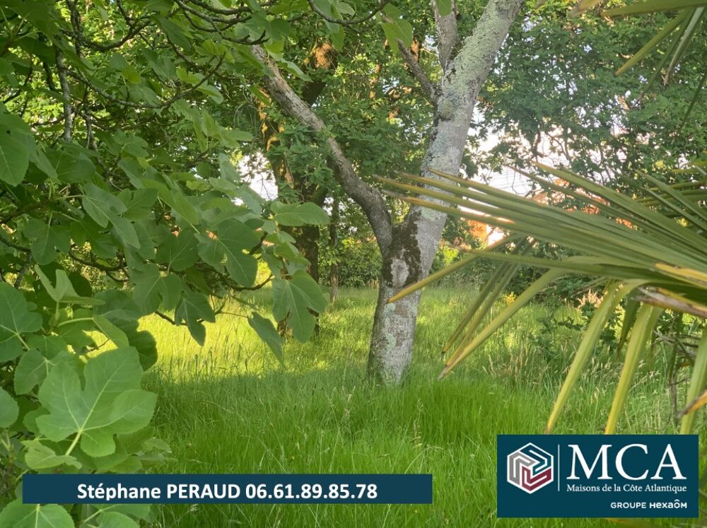 vente Terrain - 720 m² Port-de-Lanne (40300)