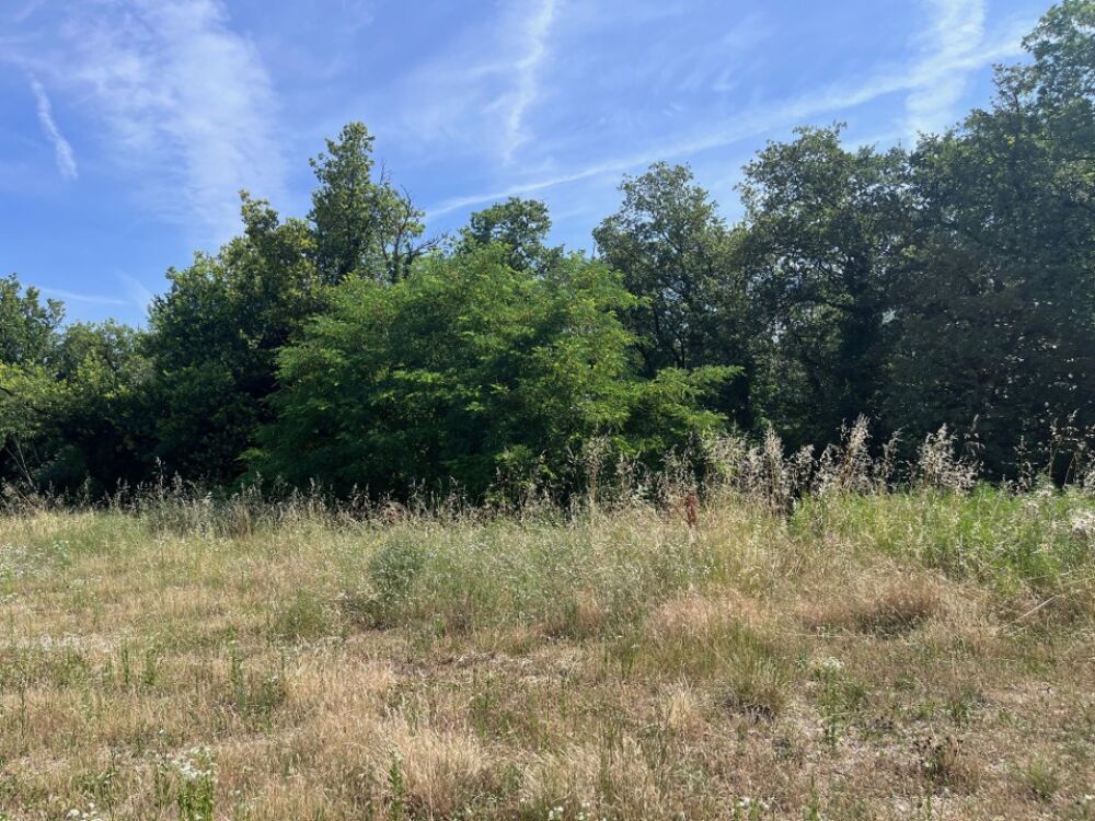 vente Maison - 4 pièce(s) - 93 m² Sainte-Cécile-les-Vignes (84290)