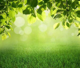  Maison 4 pi�ces 90 m� Gastes