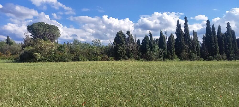 vente Terrain - 494 m� Cruscades (11200)