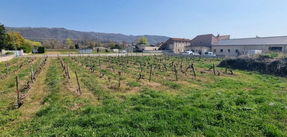 vente Terrain - 1990 m² Sarras (07370)