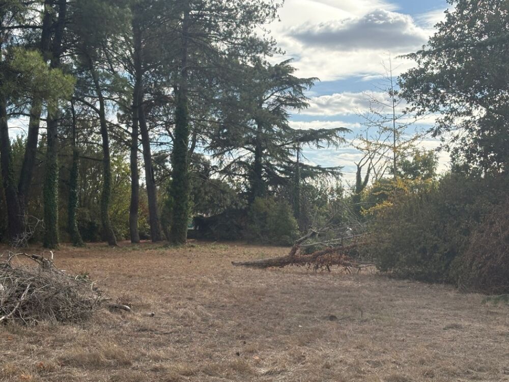 vente Maison - 4 pièce(s) - 112 m² Buzet-sur-Tarn (31660)