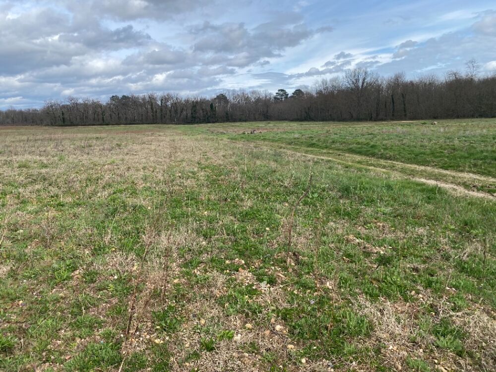 vente Terrain - 812 m² Portets (33640)