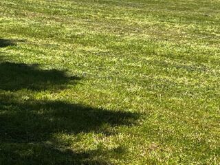  Maison 4 pi�ces 95 m� Geay