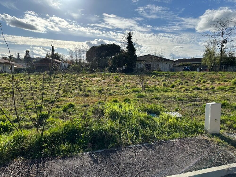 vente Terrain - 610 m² Martillac (33650)