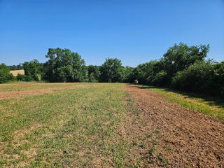  Terrain à vendre 1050 m²