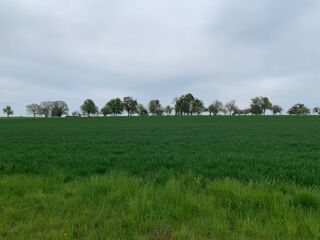  Terrain � vendre 498 m�