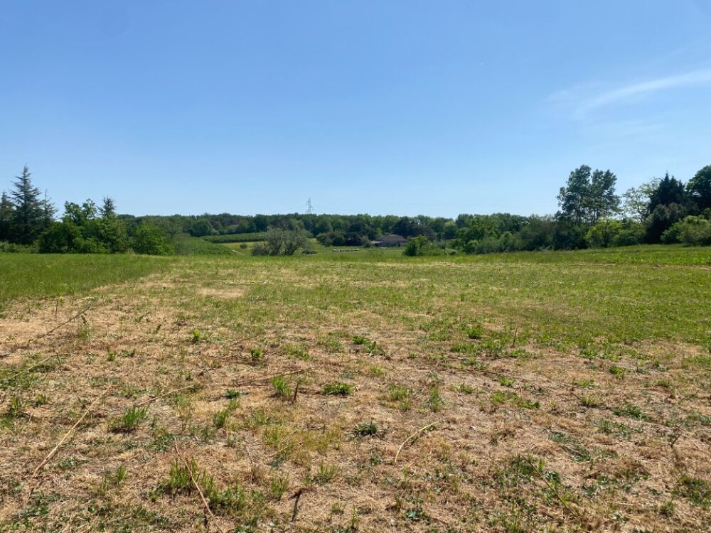 PROJET DE MAISON NEUVE A SAINTE GEMME 33580 Réa....