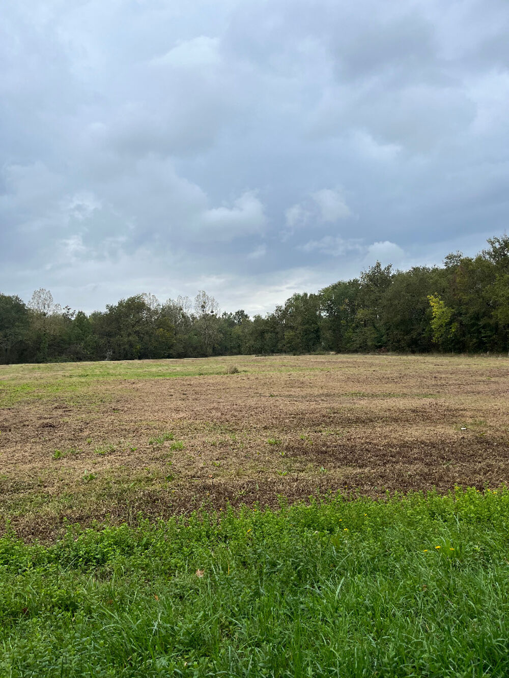 vente Terrain - 900 m² Cubnezais (33620)