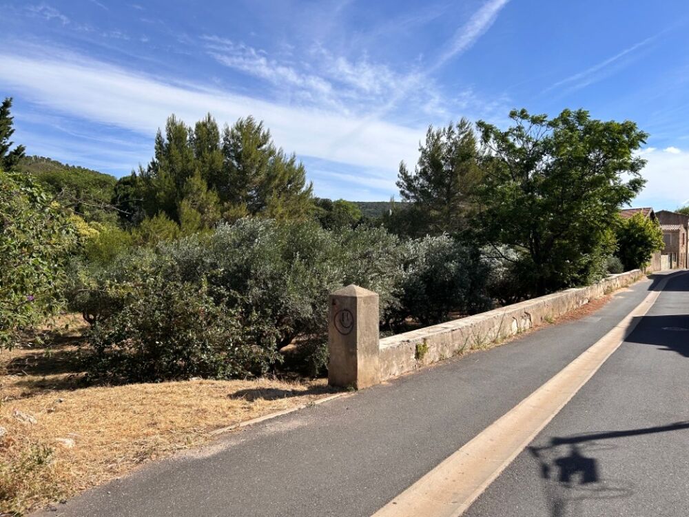 vente Terrain - 300 m² Saint-Jean-de-Fos (34150)