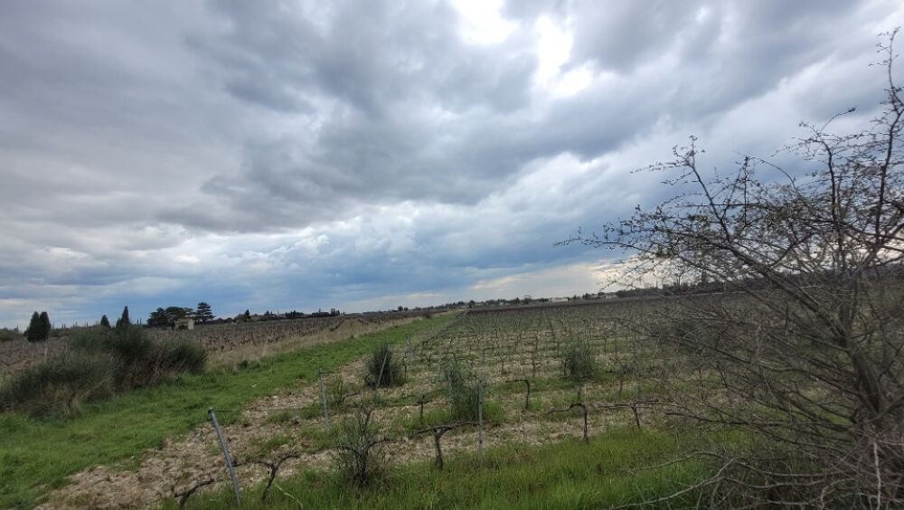vente Terrain - 856 m² Sainte-Cécile-les-Vignes (84290)