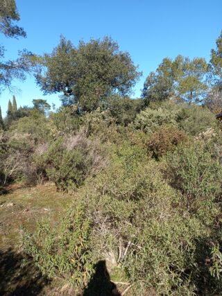  Terrain 670 m� Le cannet-des-maures