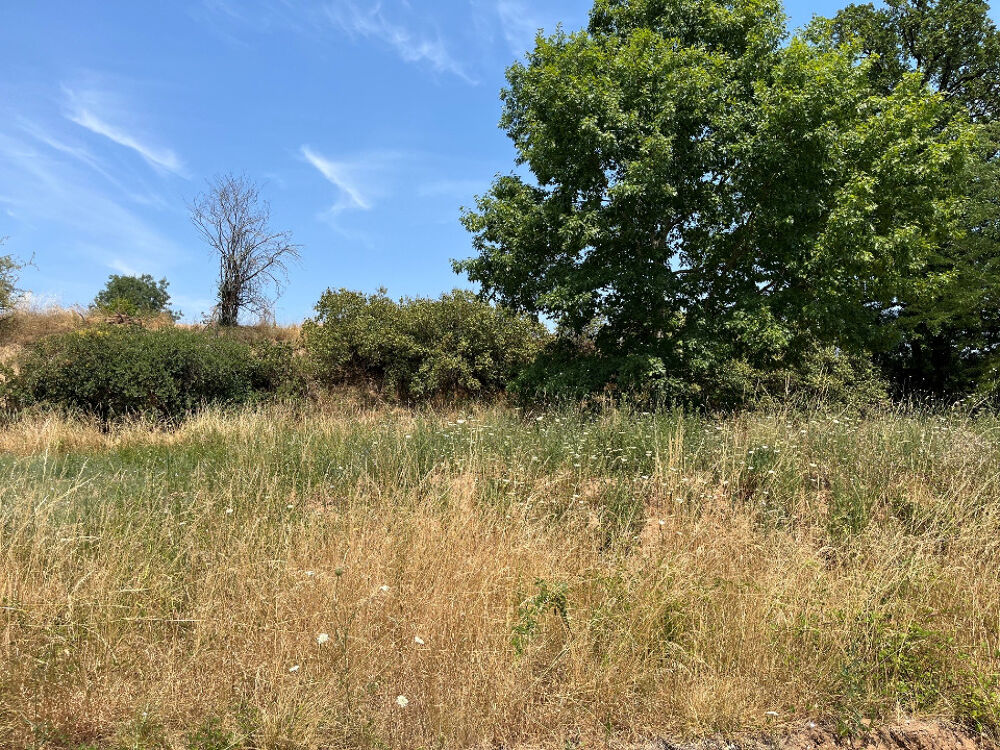 vente Maison - 4 pièce(s) - 99 m² Albi (81000)