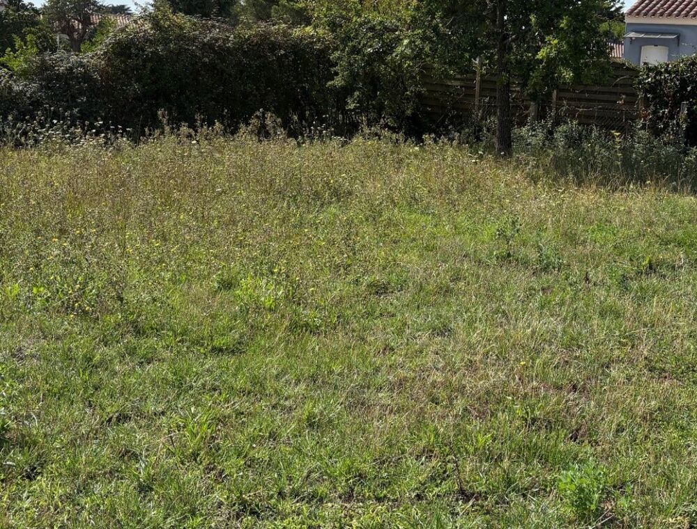 vente Terrain - 561 m² Saint-Michel-Chef-Chef (44730)