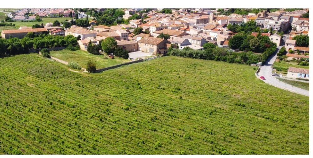 vente Terrain - 619 m² Bizanet (11200)