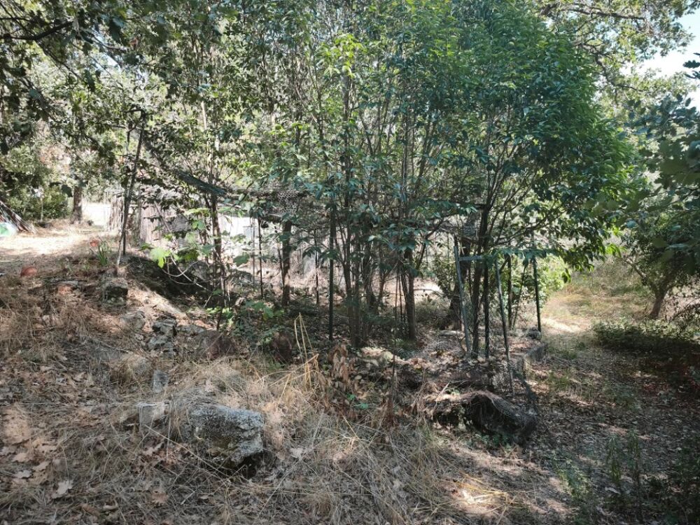 vente Terrain - 685 m² Brignoles (83170)