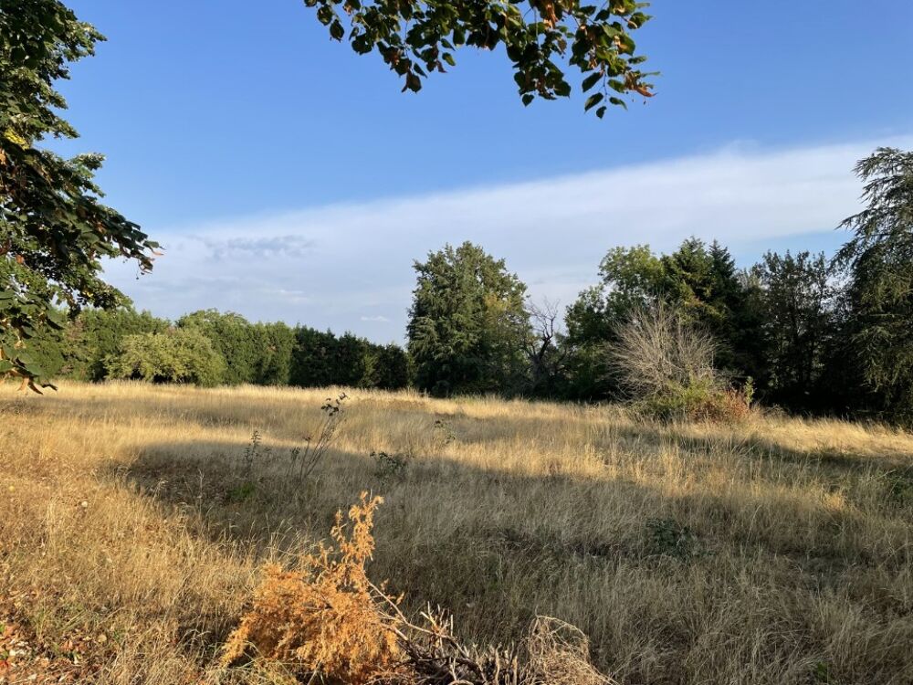 vente Terrain - 1220 m² Mazamet (81200)