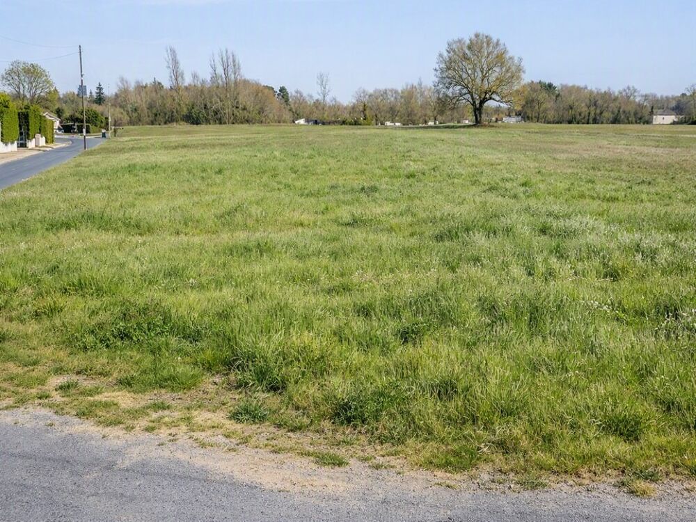vente Terrain - 3115 m² Saint-Savin (33920)