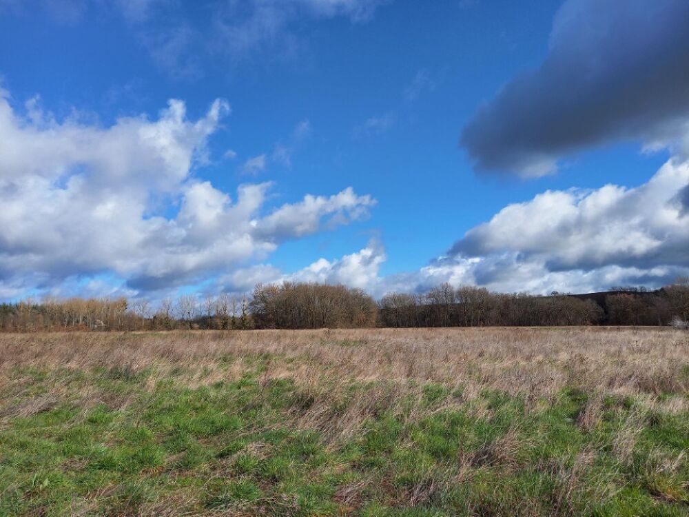 vente Maison - 4 pièce(s) - 80 m² Busque (81300)