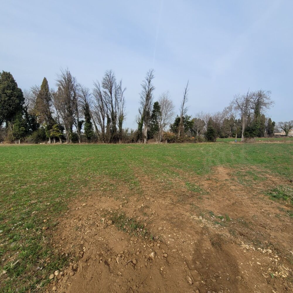 vente Terrain - 675 m² Saint-Martin-de-Crau (13310)