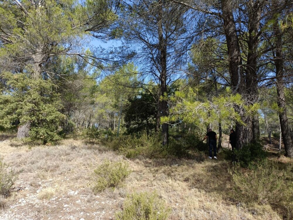 vente Maison - 4 pice(s) - 85 m Salernes (83690)