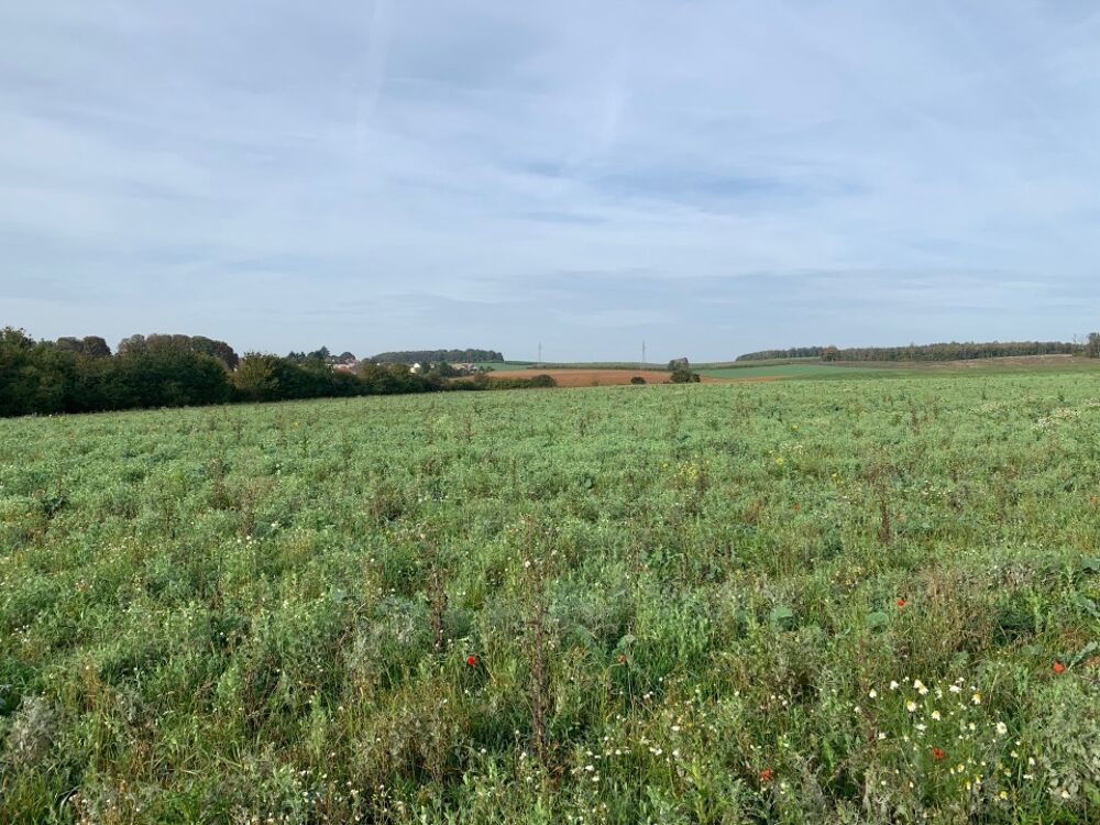 VENTE d'une maison 5 pièces (100 m²) à Ottange IDÉAL....
