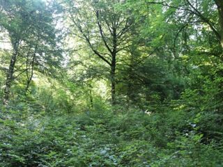  Maison � vendre 6 pi�ces 100 m�