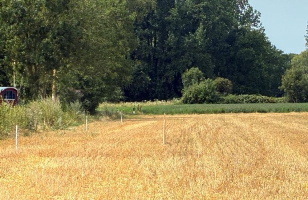 vente Maison - 7 pièce(s) - 160 m² Villers-sur-Authie (80120)