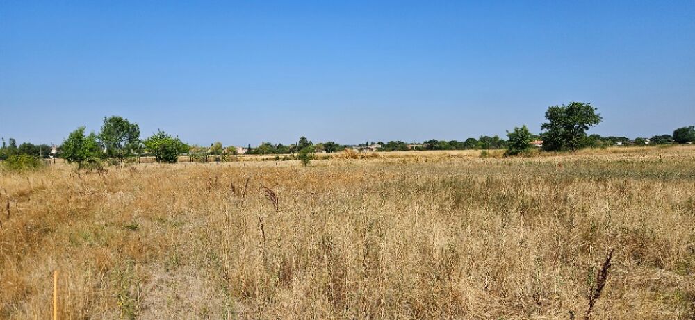 vente Maison - 6 pièce(s) - 140 m² Lamasquère (31600)
