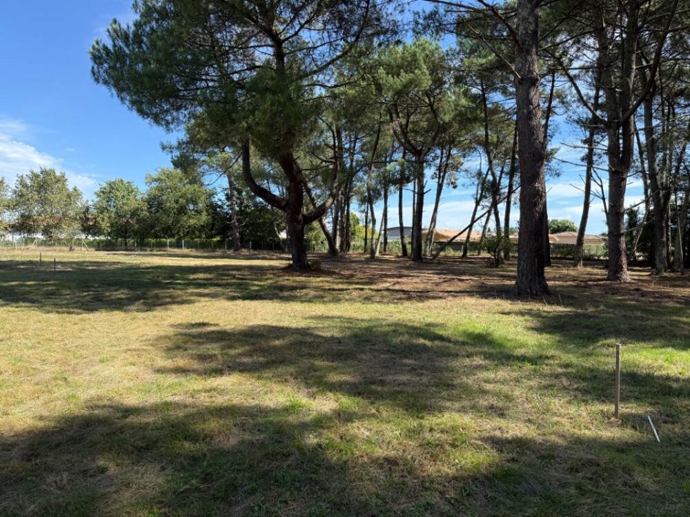 vente Terrain - 930 m² Saint-Aubin-de-Médoc (33160)