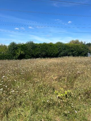  Maison 4 pices 110 m Cerelles