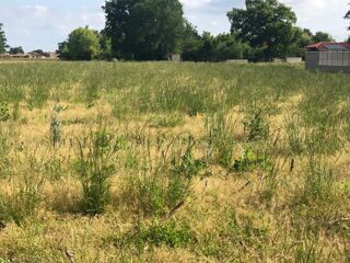vente Terrain - 480 m² Bâgé-le-Châtel (01380)