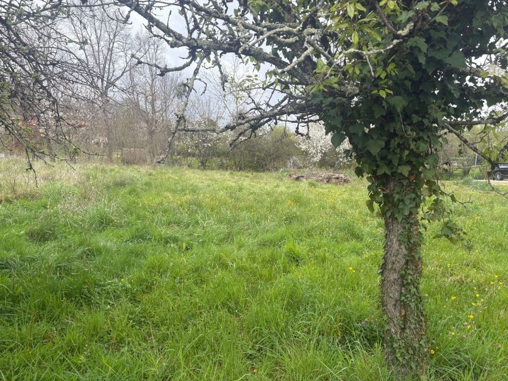 vente Terrain - 784 m² Mézens (81800)