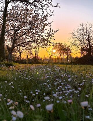  Terrain � vendre 1100 m�