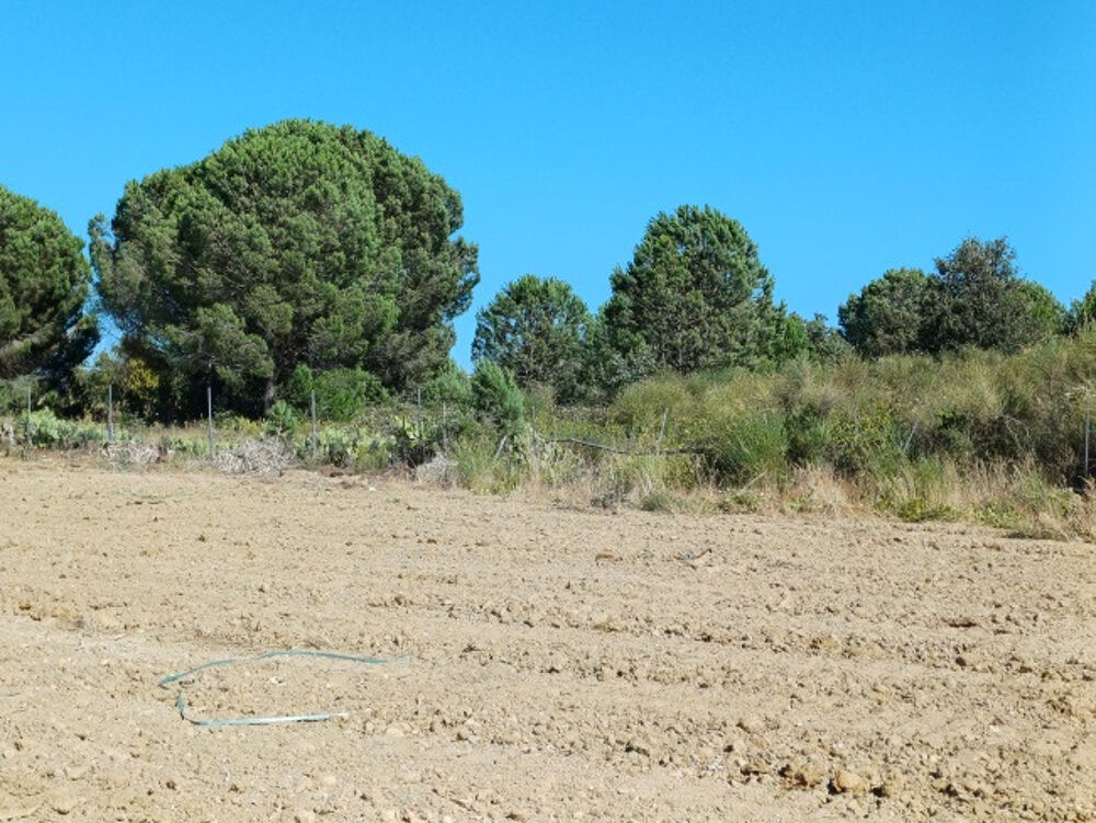 vente Maison - 6 pièce(s) - 150 m² Laroque-des-Albères (66740)