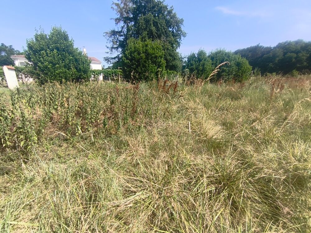vente Terrain - 482 m² Médis (17600)