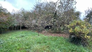  Maison 5 pi�ces 118 m� Le palais-sur-vienne