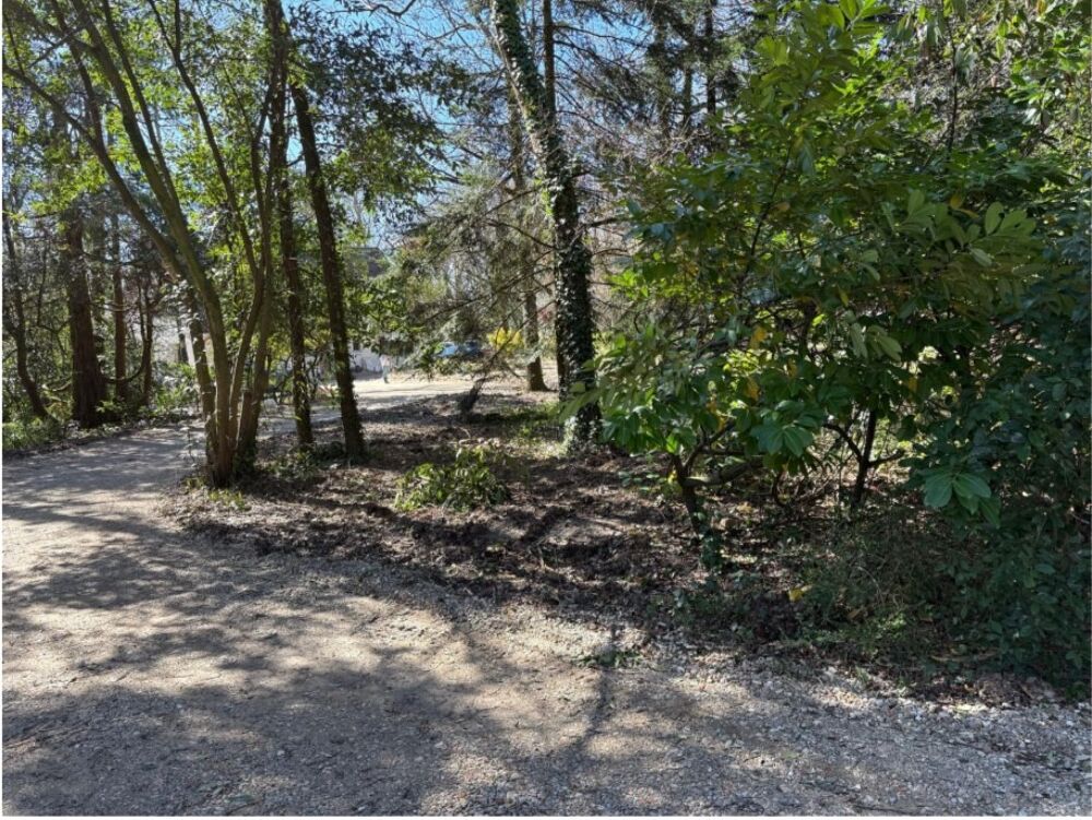 vente Terrain - 1500 m² Carignan-de-Bordeaux (33360)
